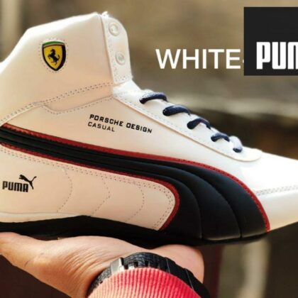 Puma long