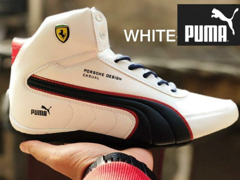 Puma long